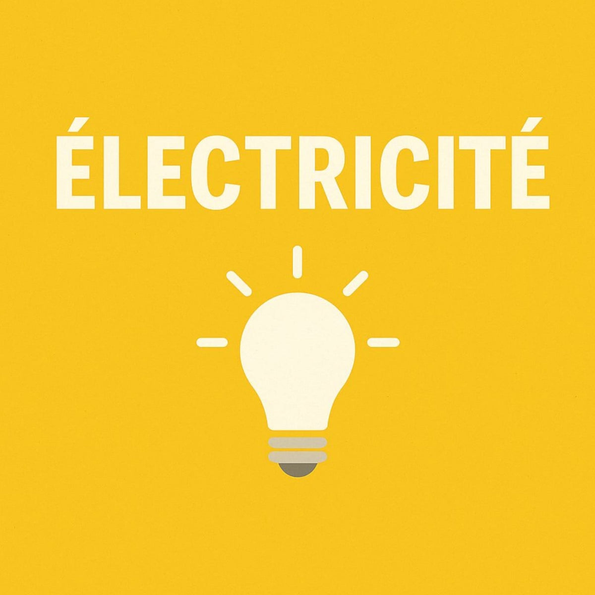 matériel élictrique professionel - disjoncteurs,prises et cables 